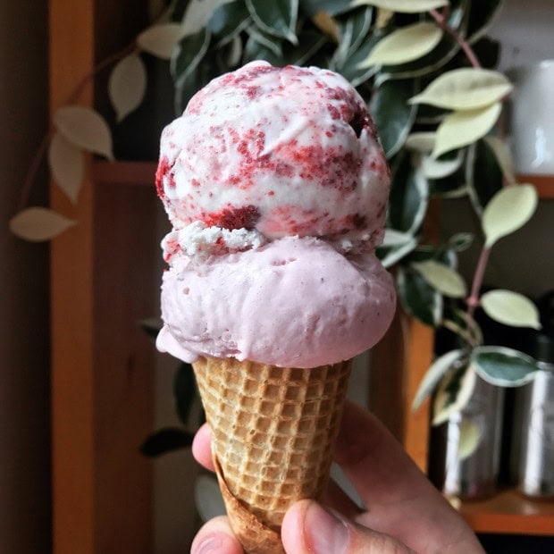 Seattle Ice Cream