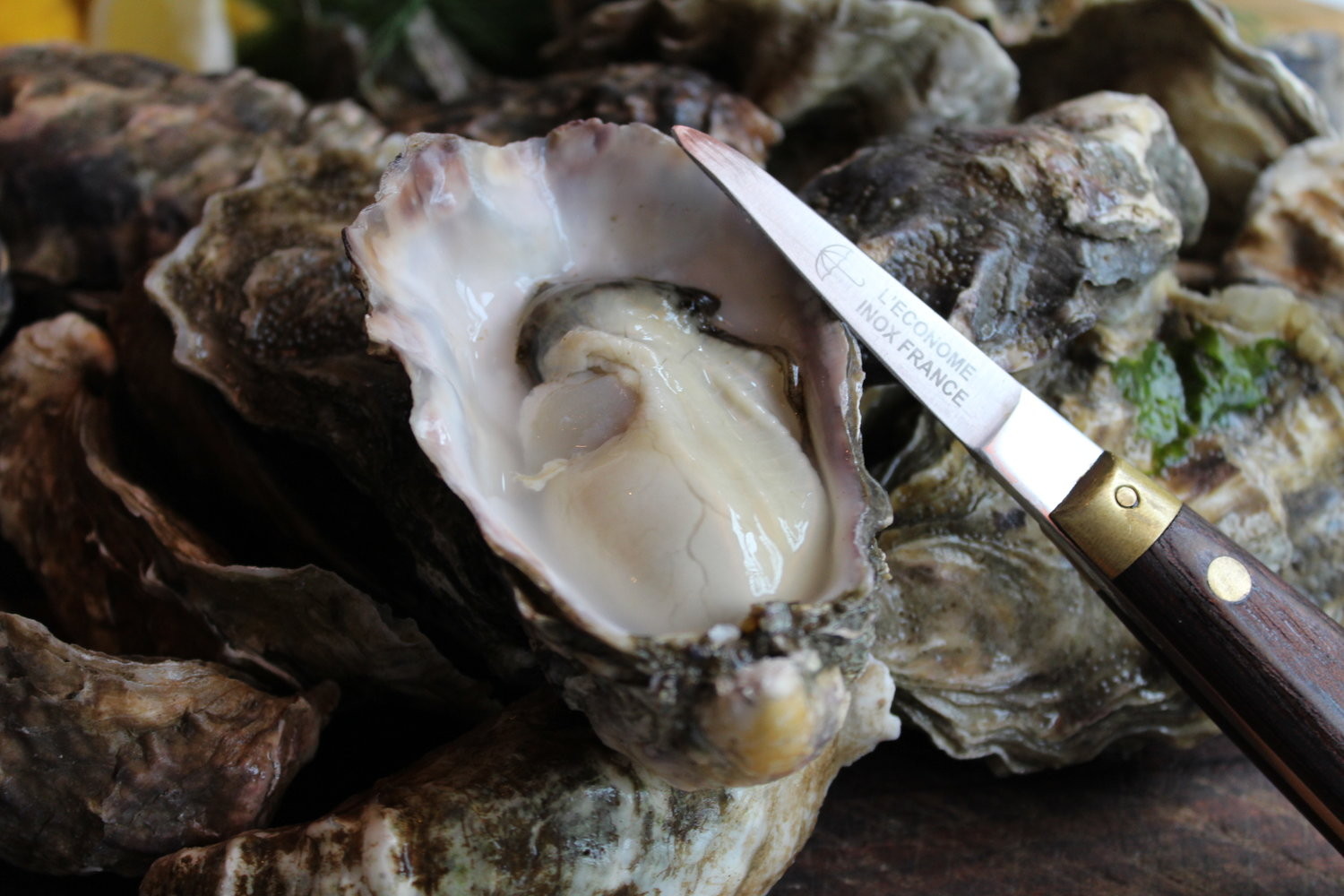 oyster shucker, knife, pacific oyster, shell